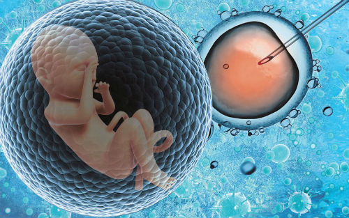 NEJM：复旦大学王磊课题组揭开人类卵子成熟障碍之谜