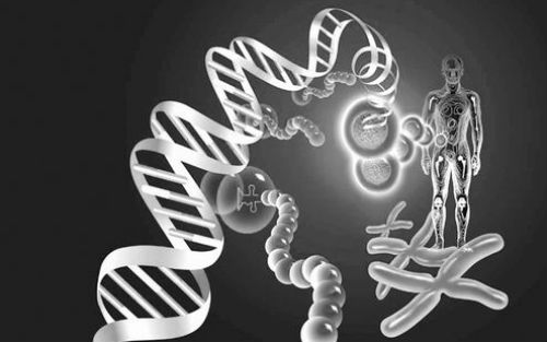 亚洲10万人类基因组测序计划发布！