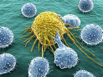上海生科院揭示间充质干细胞促进肿瘤转移的新机制