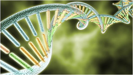 DNA在细胞中呈不规则结构证据找到.png