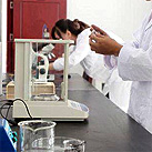 p2.jpg