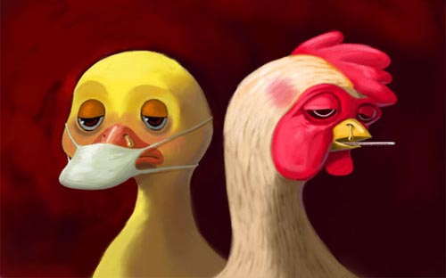 专家：H5N6和H7N9人感染禽流感不会大规模暴发