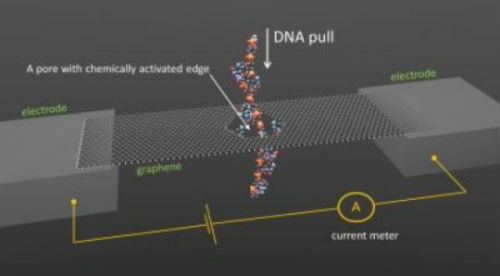 图：NIST新型DNA测序原理模型（来源Science Daily）.jpg