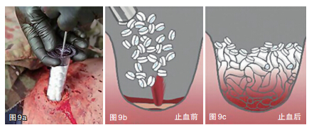威斯腾创新转化.jpg