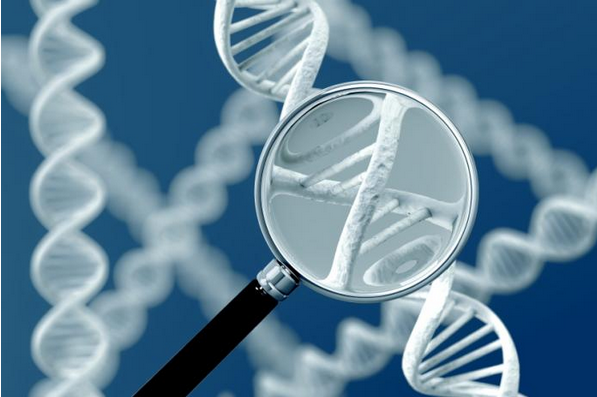 研究者在中国人群中发现与乳腺癌有关的新基因突变