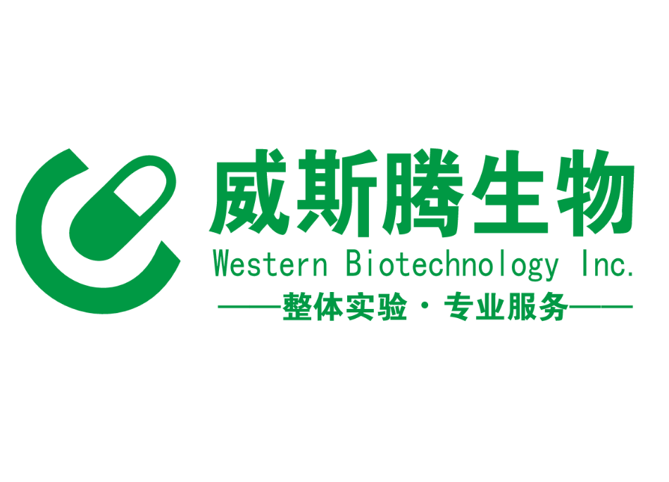 WST-LOGO-M.PNG