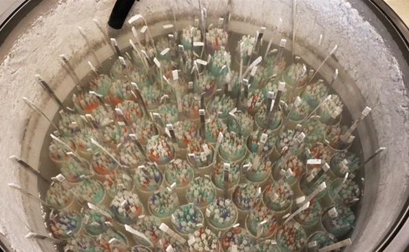 揭秘全球最大精子库：单身女性是主要客户