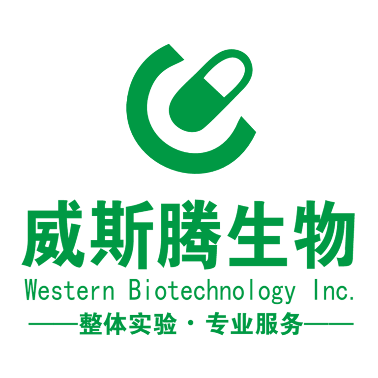 科研合作，成果转化——威斯腾生物