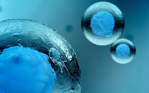  Cell子刊：科学家找到启动干细胞分化的关键“代码”