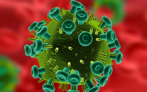 Nature：中国科学家发现1445种新RNA病毒