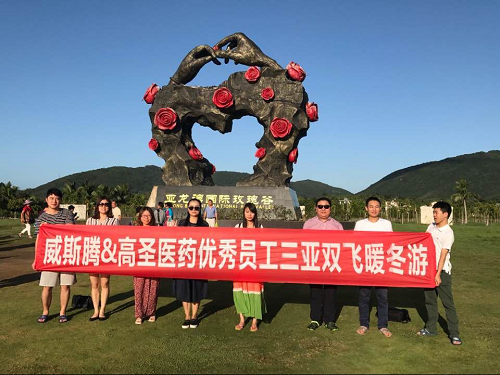 威斯腾&高圣医药优秀员工三亚双飞暖冬游