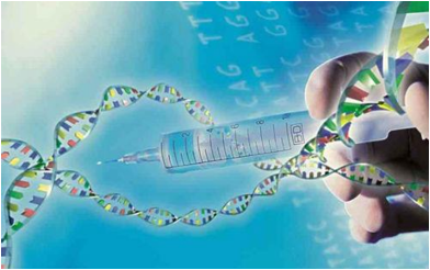 基因编辑新突破！CRISPR/Cas9首次用于治疗血友病