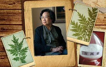 屠呦呦团队的青蒿素或可治糖尿病
