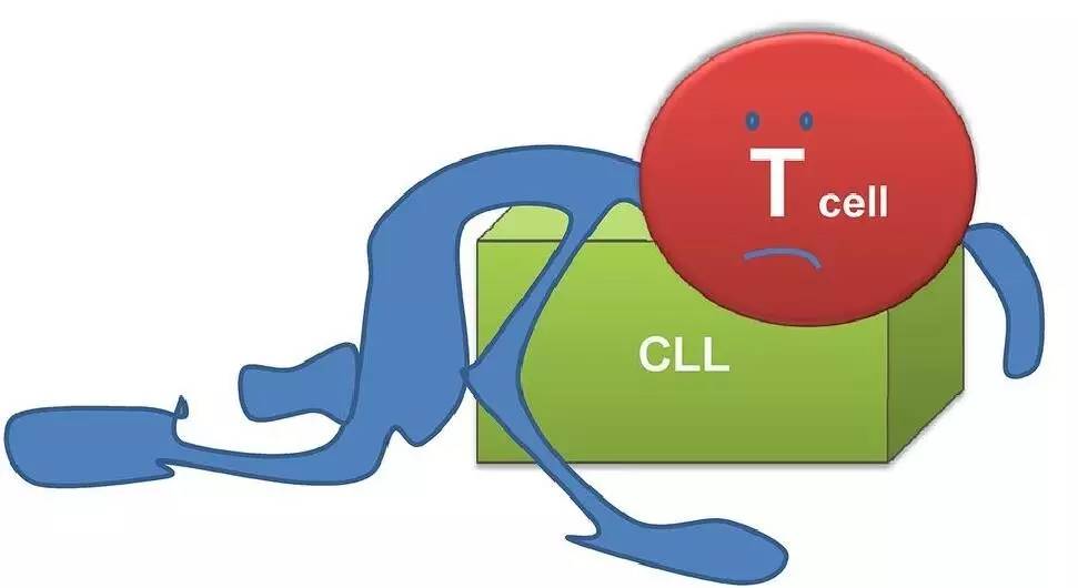 《科学》封面重磅：一个关于T细胞悲伤而重要的研究