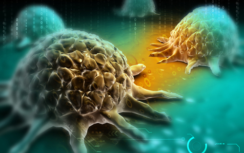 中山大学长江学者特聘教授Cancer Research发表结直肠癌新研究成果