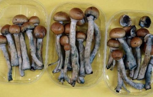 161506005157.jpg