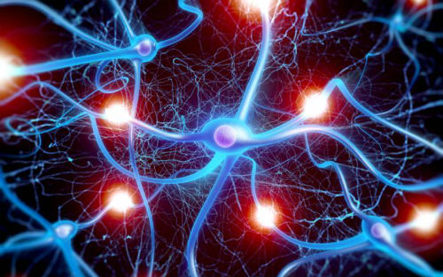 中科院学者发表综述：总结miRNAs的研究进展与实验方法
