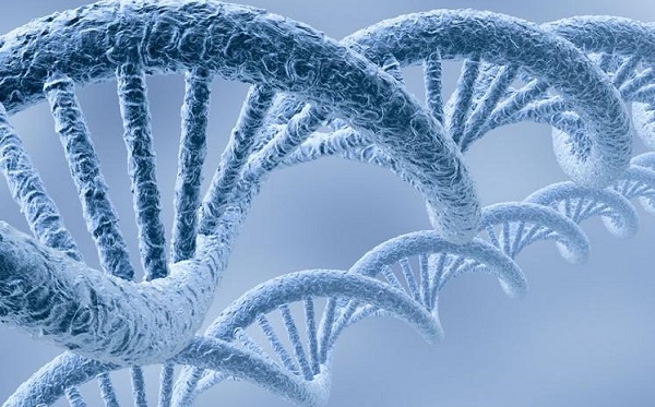 中国科学院：生物组学数据库获国际认可