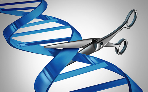 Cell：将CRISPR与单细胞RNA-seq相结合 解决悬而未决的问题