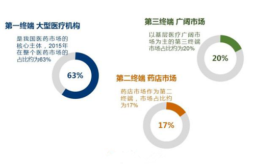 2、卢敏丽：盘点2016中国医药市场格局.png