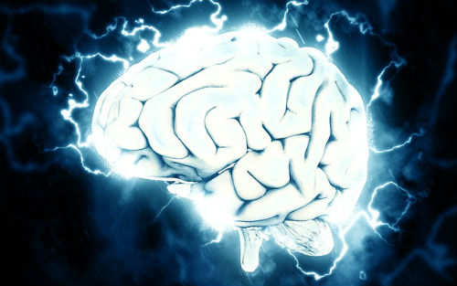 Neuron2016年度最佳论文：下一个时代的热点