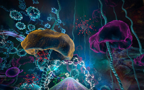 《Cell》有趣发现：有些细胞在复制之前需要“理个发”
