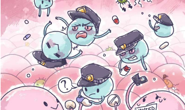 Nat Immunol：科学家发现药物对免疫系统的作用机制