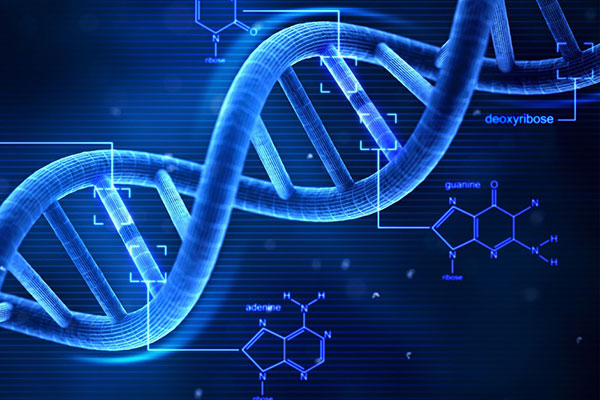 几分钟“搞定”蛋白质分子3D结构机器学习新算法加速药物研发进程
