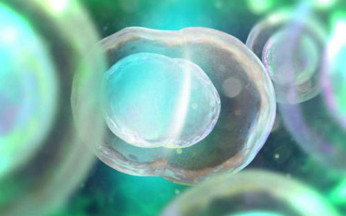 iPS细胞距离临床应用还有多远？PNAS打破其安全顾虑