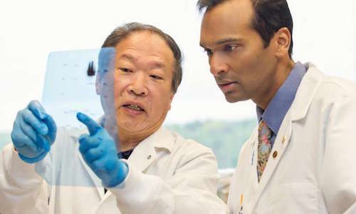 Cancer Cell：华人科学家开发多肽药物可精准治疗前列腺癌
