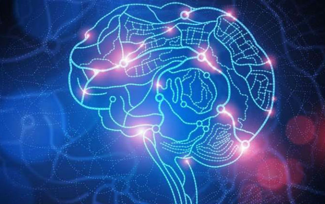 Nature：大脑GPS系统不仅仅是导航那么简单