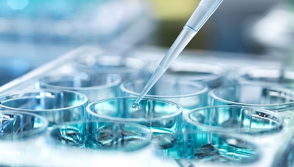 科学家称五年内合成人类DNA “定制婴儿”或成真