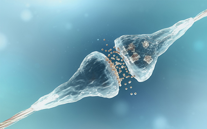 Nature子刊：抗生素或可用于治疗帕金森病
