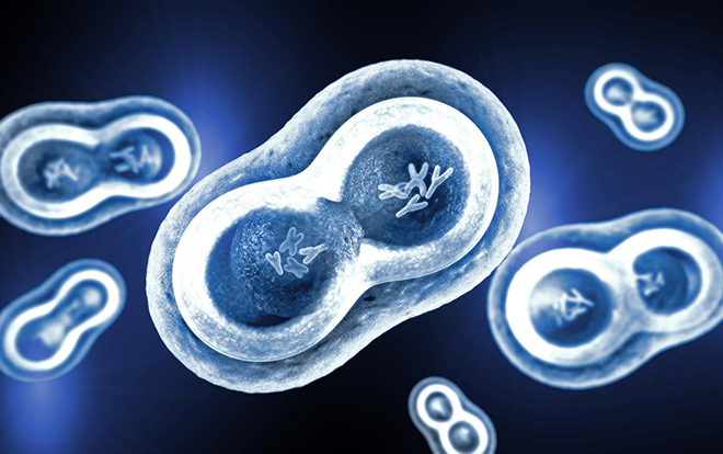 Science：让所有类型癌细胞都减缓生长的方法