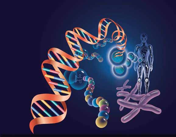 科学家首次鉴别出“肌肉力量”基因