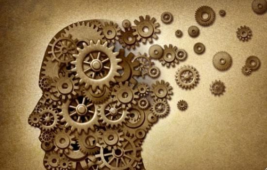 世界首例神经疾病模型猪诞生 推动阿尔兹海默症等疾病治疗